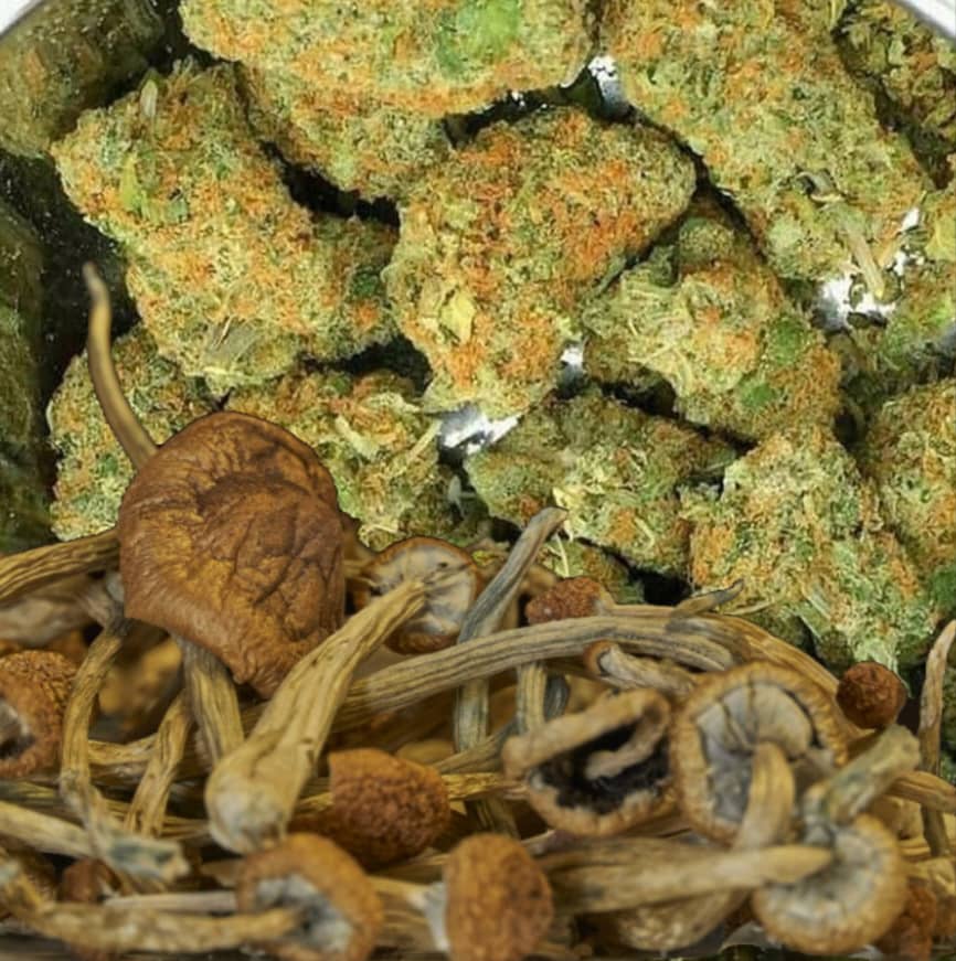 Ammunition
